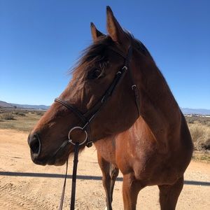 Meet your Posher, Natalie